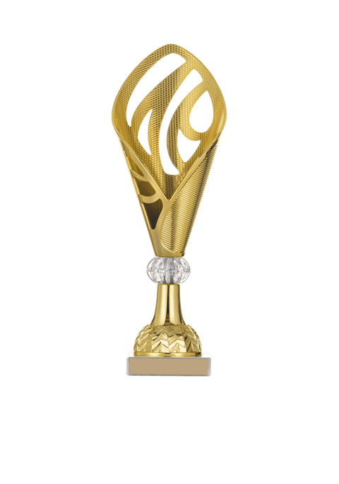 https://powervolleyballclub.org/wp-content/uploads/2022/11/trophy_03-2.png